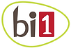 Bi12022 (2).png